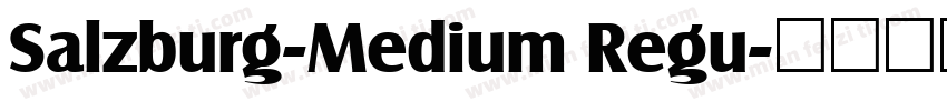 Salzburg-Medium Regu字体转换